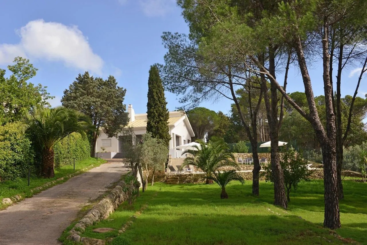 Villa Nerodavola By Posarellivillas San Corrado di Fuori